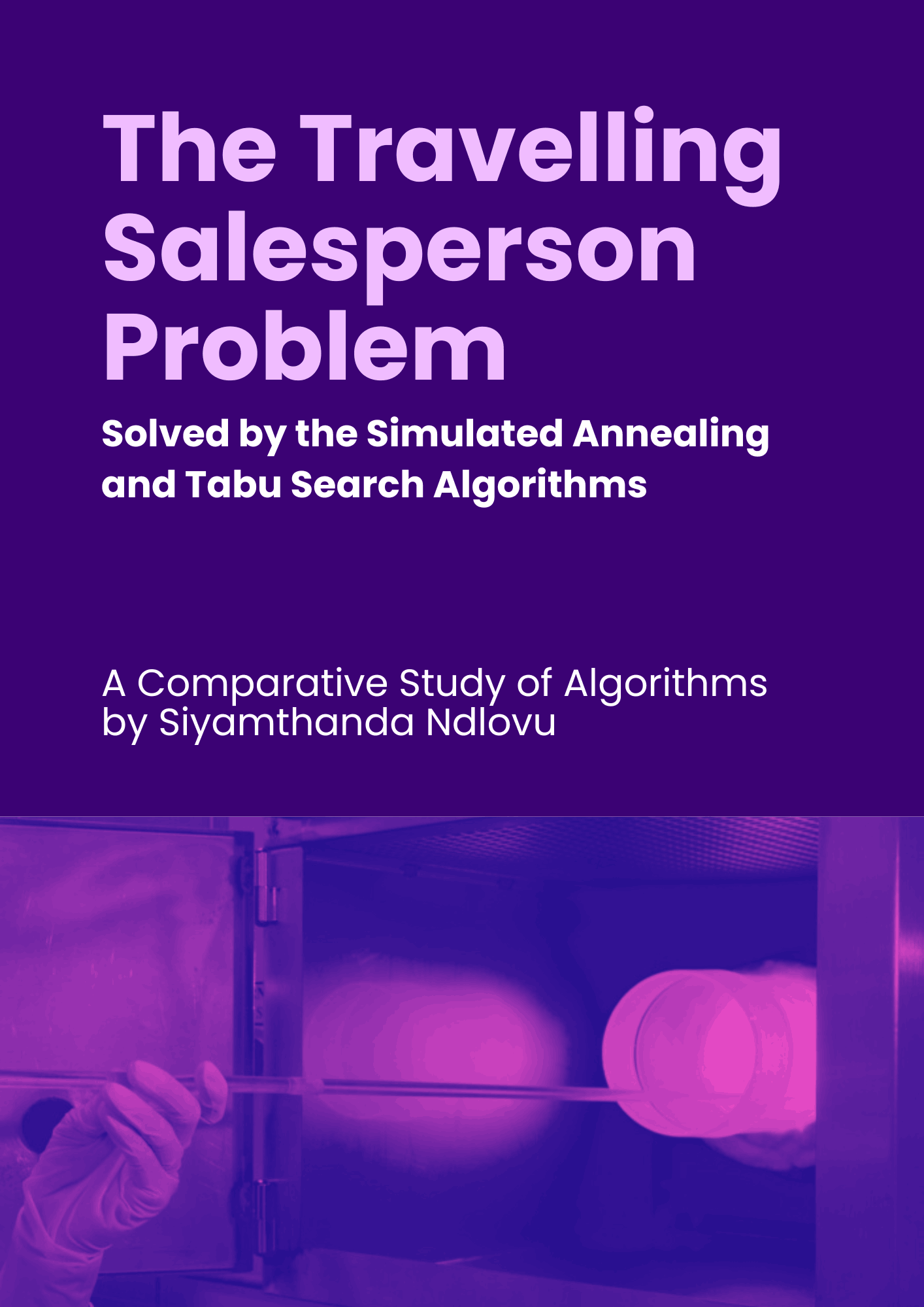 Traveling Salesperson Problem Report Cover