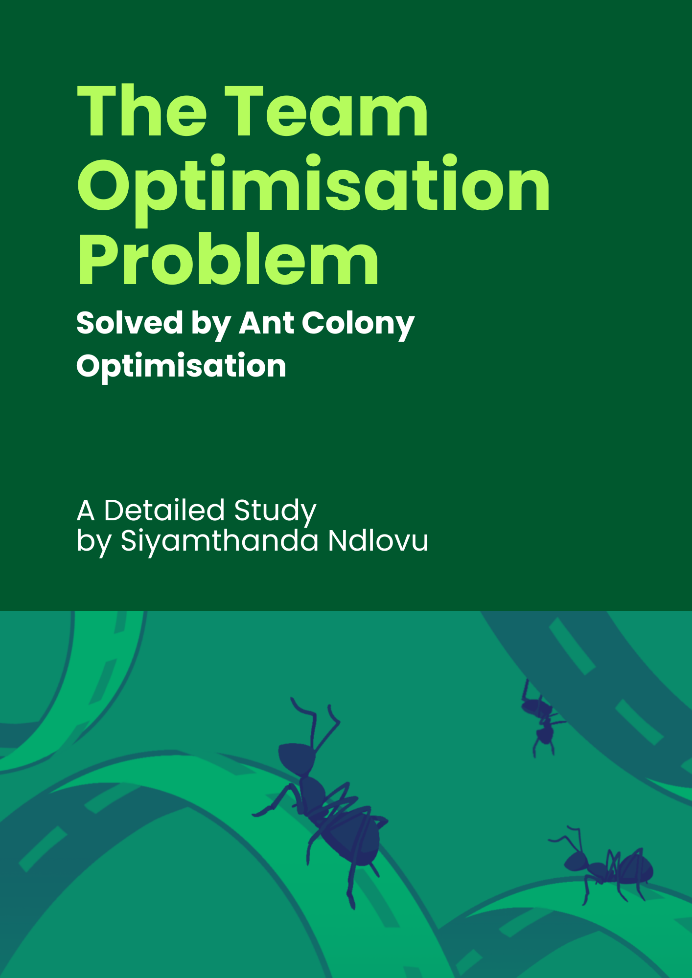 Ant Colony Optimisation Report Cover