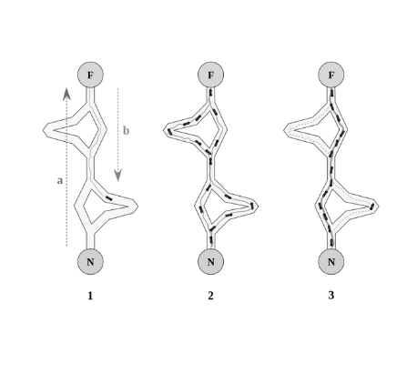 Ant colony optimisation pheromone path visualisation
