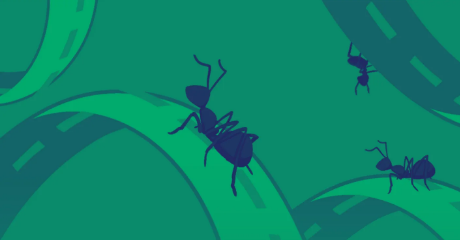 University of Southern California